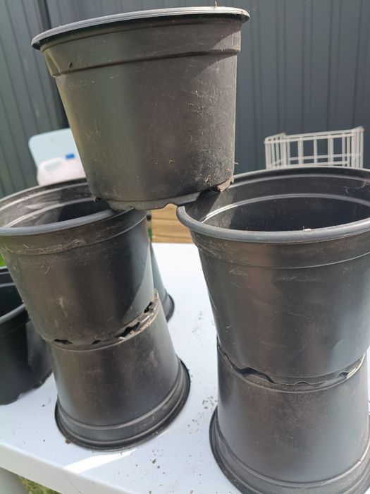 Doniczki produkcyjne 2l