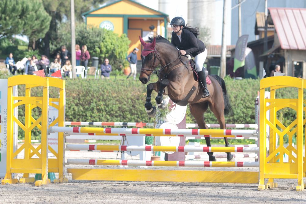 Cavalo de obstáculos