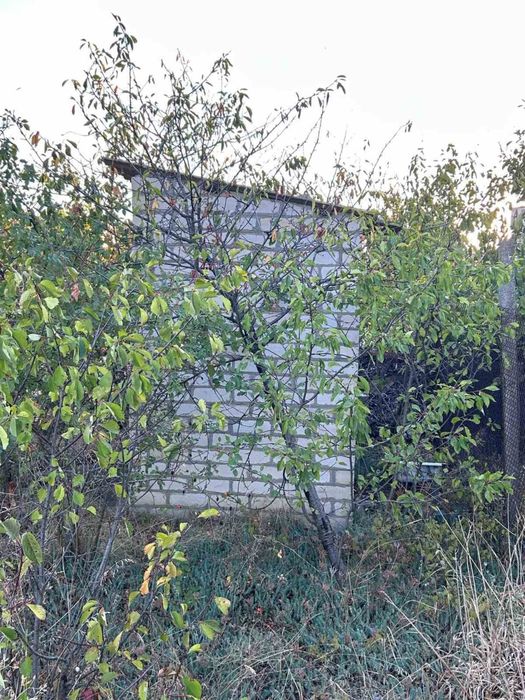 Продам ділянку берег Хаджибеївського лиману