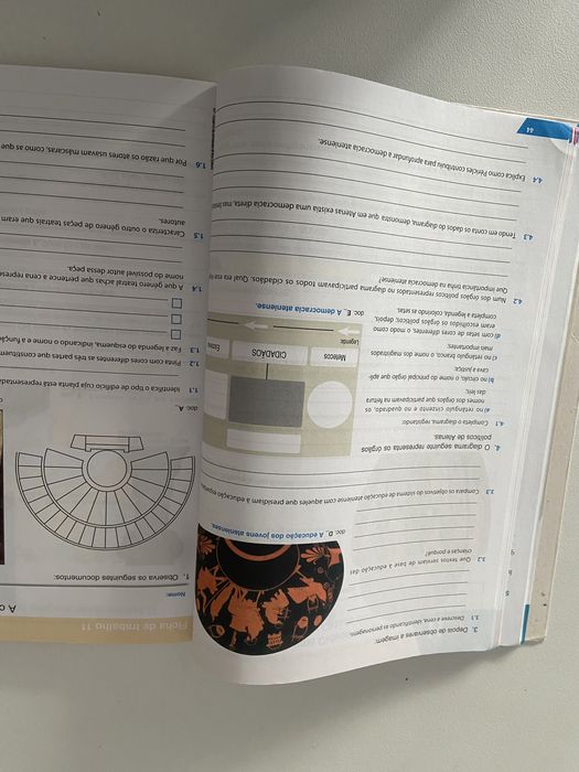 Caderno de atividades Historia sete da Raiz editora