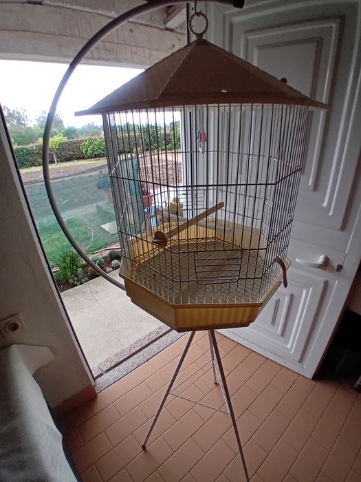 Gaiola para pássaros com pé para pendurar