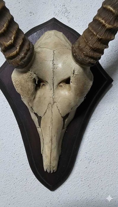 Troféu de Kobo Africano – Elegância Escultural