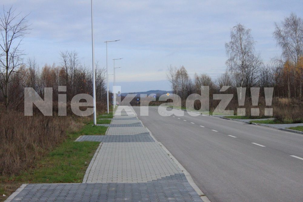 Zdjęcia na wybòr(proszę przeczytać opis)