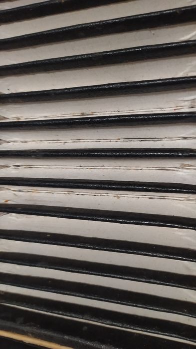 Баян Мічта випуску тих часів