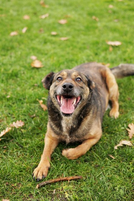 Brego wciąż czeka na Ciebie