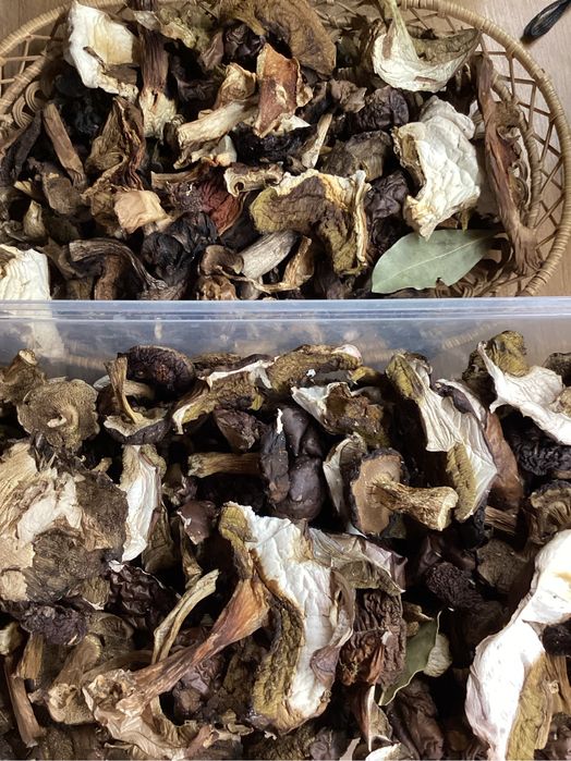 Grzyby suszone podgrzybek,prawdziwek borowik 100gr