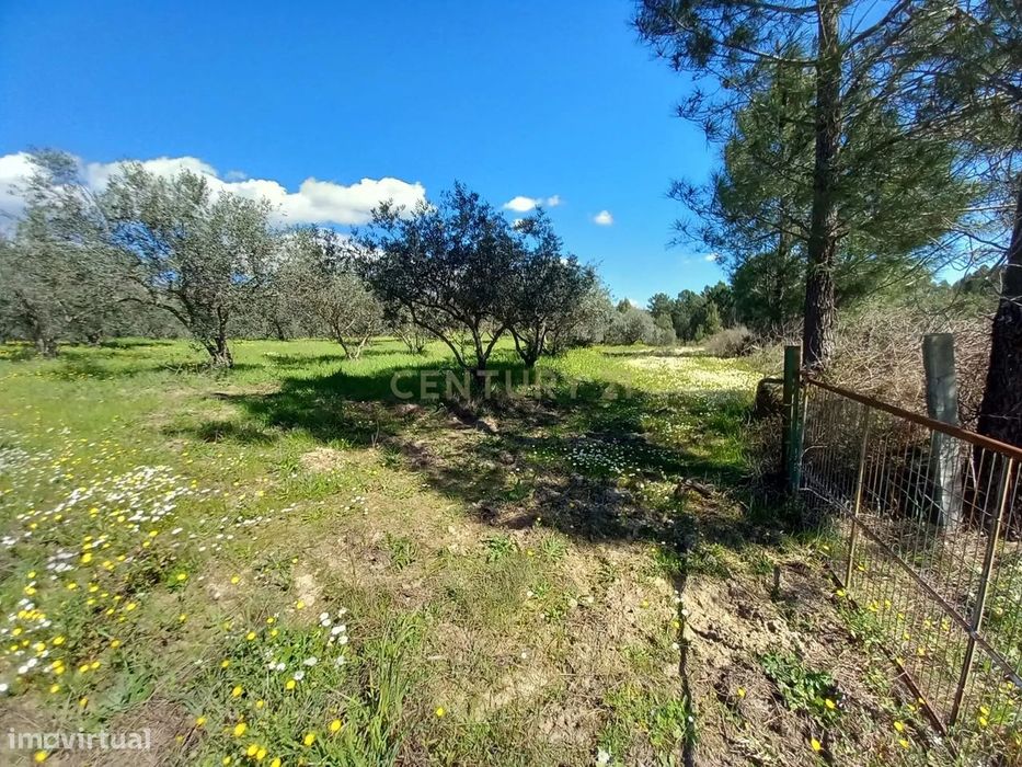 Quinta com 24750m2 Louriçal do campo