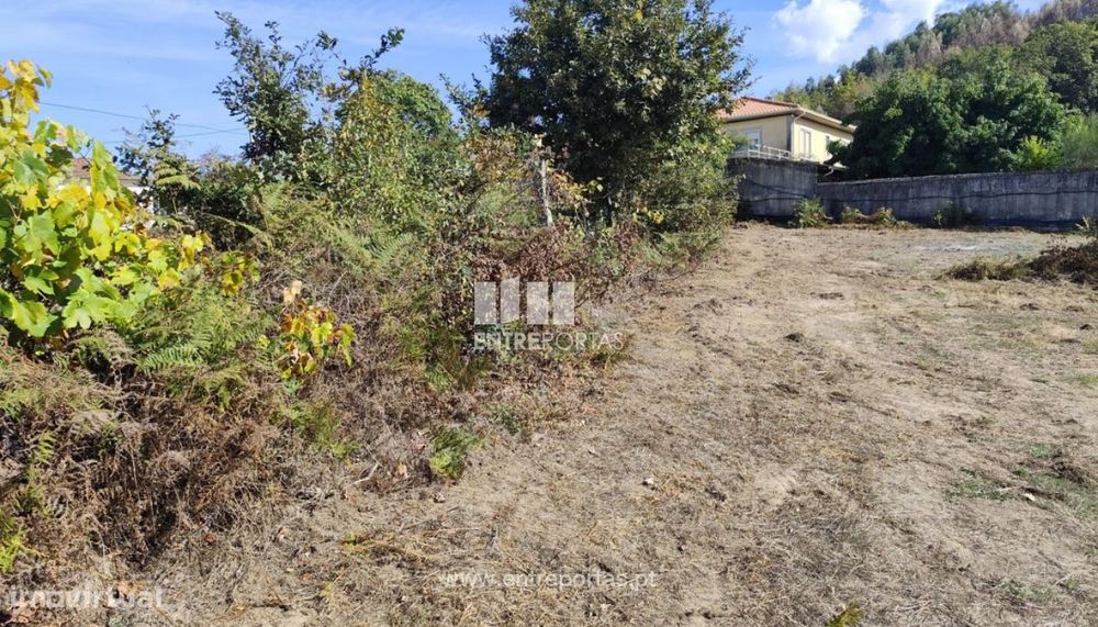 Venda Terreno, Tarouquela, Cinfães