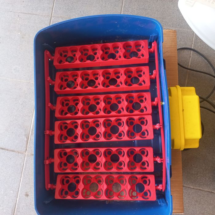 Chocadeira automatica