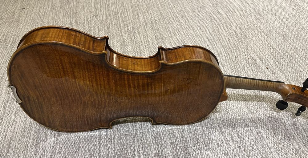 Viola Antonio Wang modelo Verona