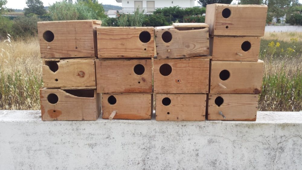 Troco conjunto dos ninhos 13 unidades