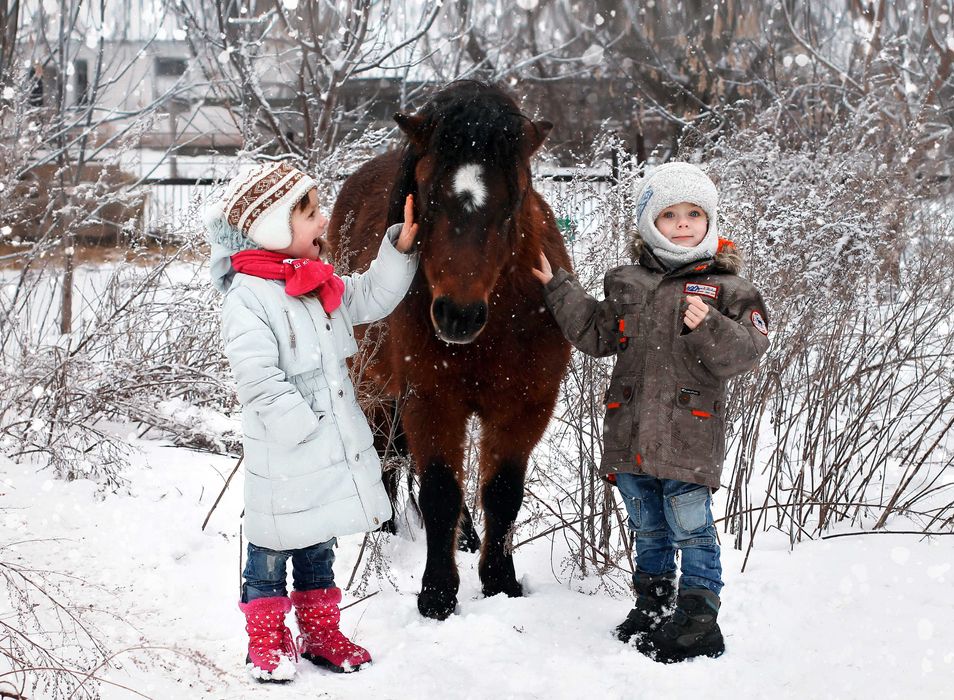 Фотосессії з кіньми професійні.