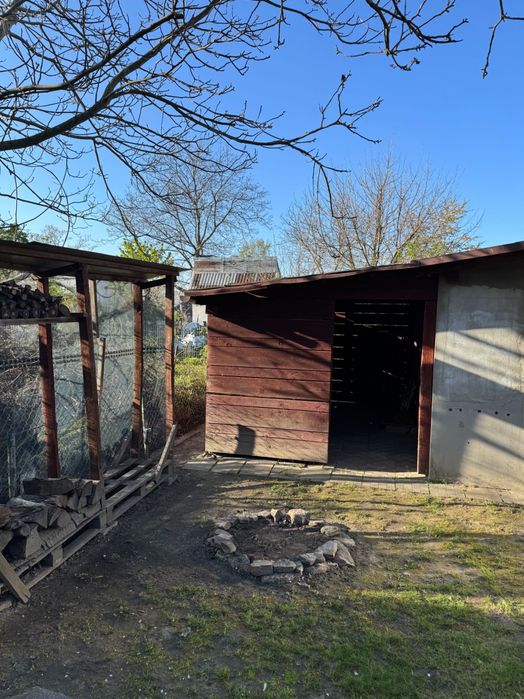 Ogródek działkowy ROD Calineczka - Widok 6