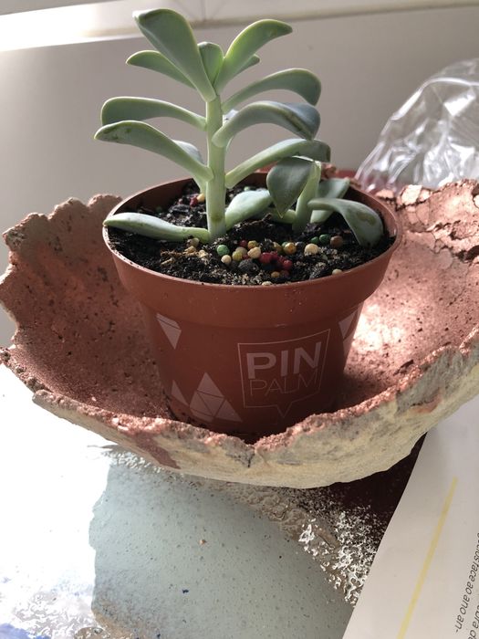 Porta velas ou para plantas