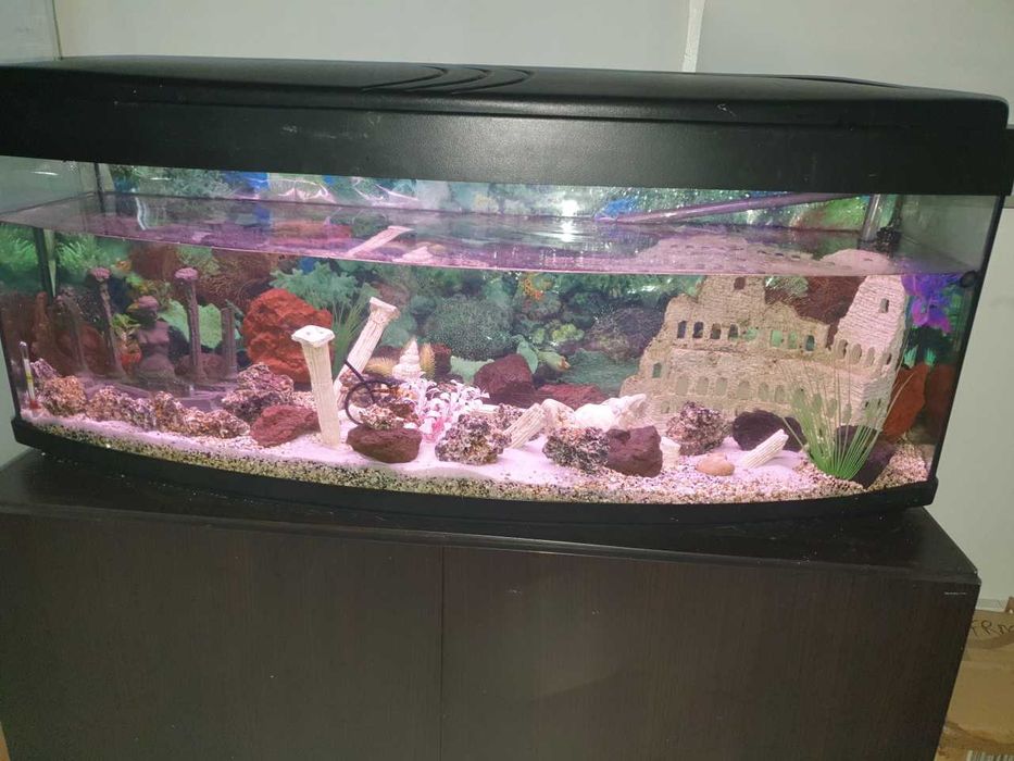 Vendo aquário 200 lt