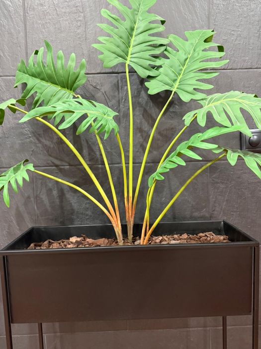Floreira com planta incluida