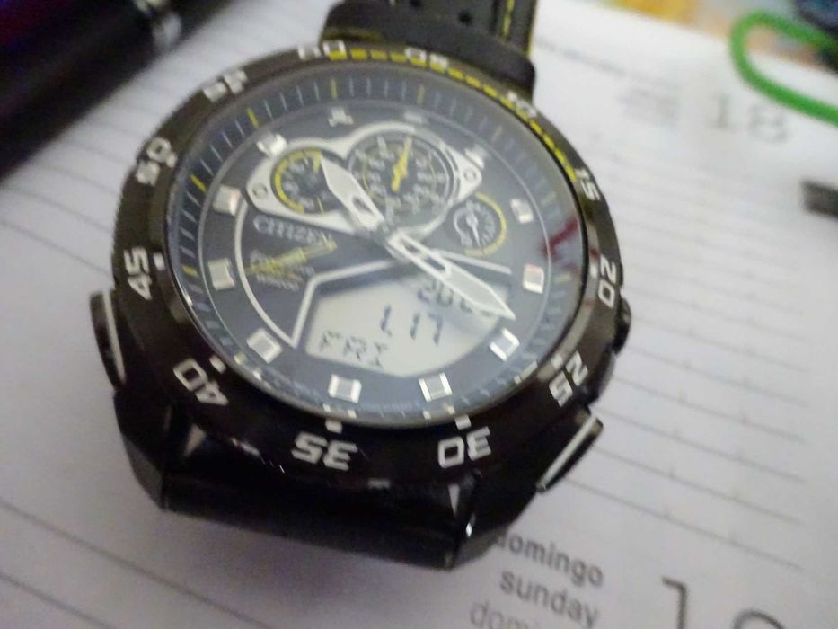 Citizen Master Chrono Promaster