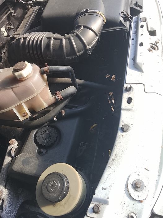 Silnik renault master poj 2499'00 cm 59,00 kw