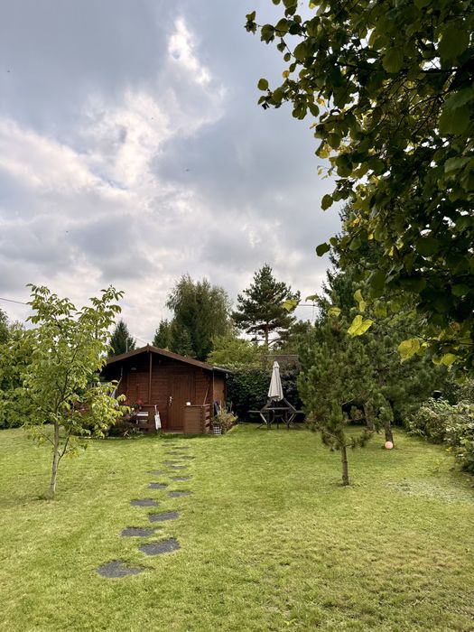 Działka ROD Gredzice Ciechanów