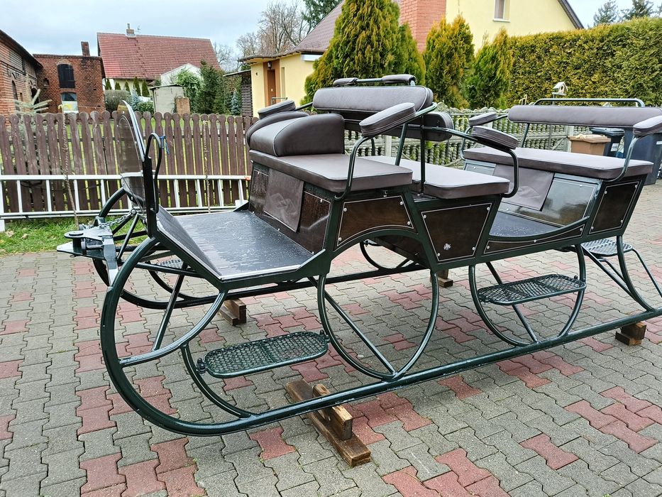 Sanie konne koń konie bryczka