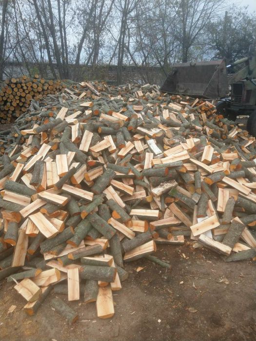 Дрова різних порід
