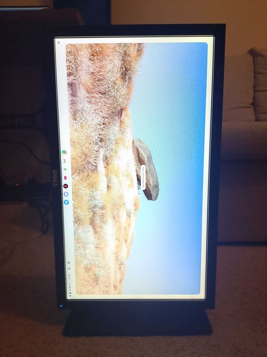 Monitor Dell P2211 Wrocław