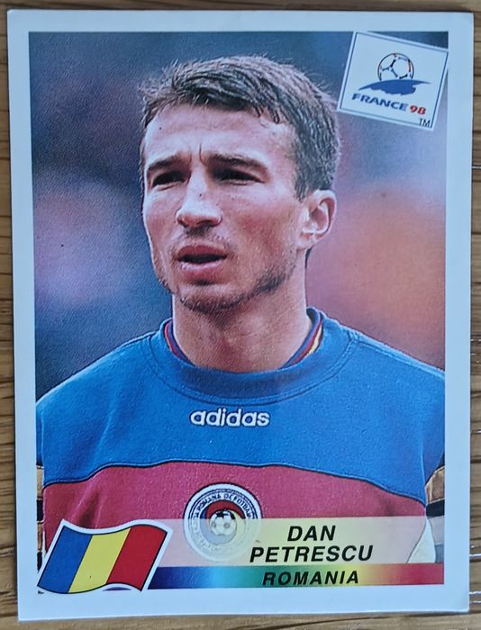 Naklejka Dan Petrescu
