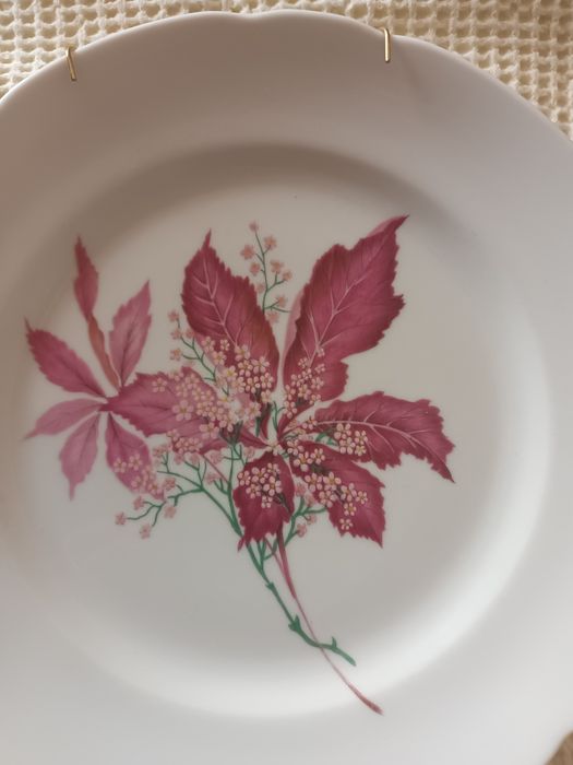 Prato - Vista Alegre