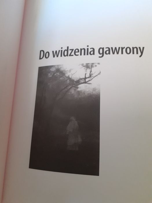 Jarosław Marek Rymkiewicz Do widzenia gawrony MNP