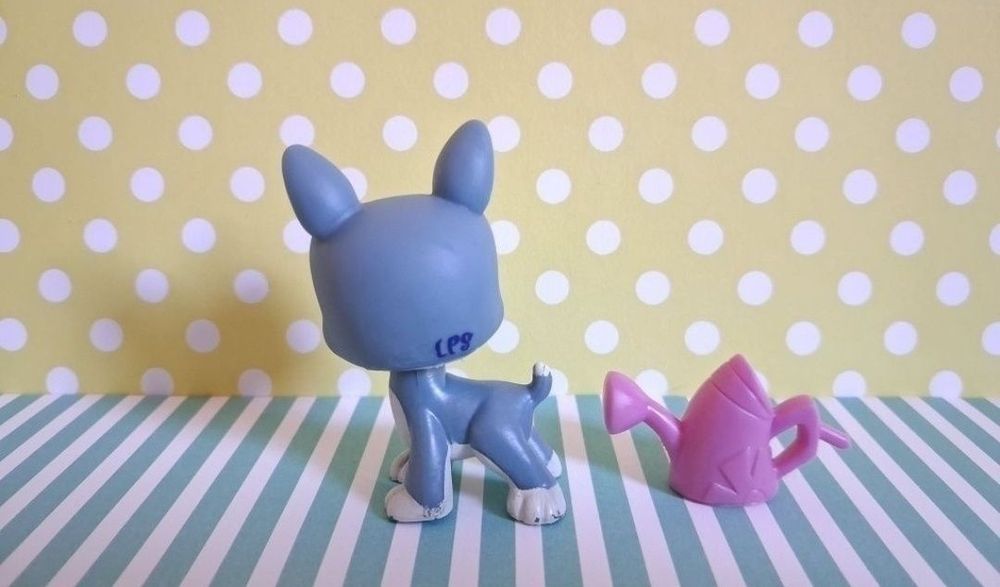 Littlest Pet Shop LPS unikatowy pies Boston Terrier #1025