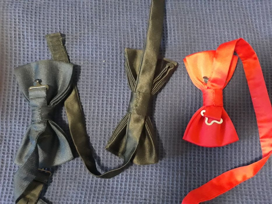 Чоловічий метелик