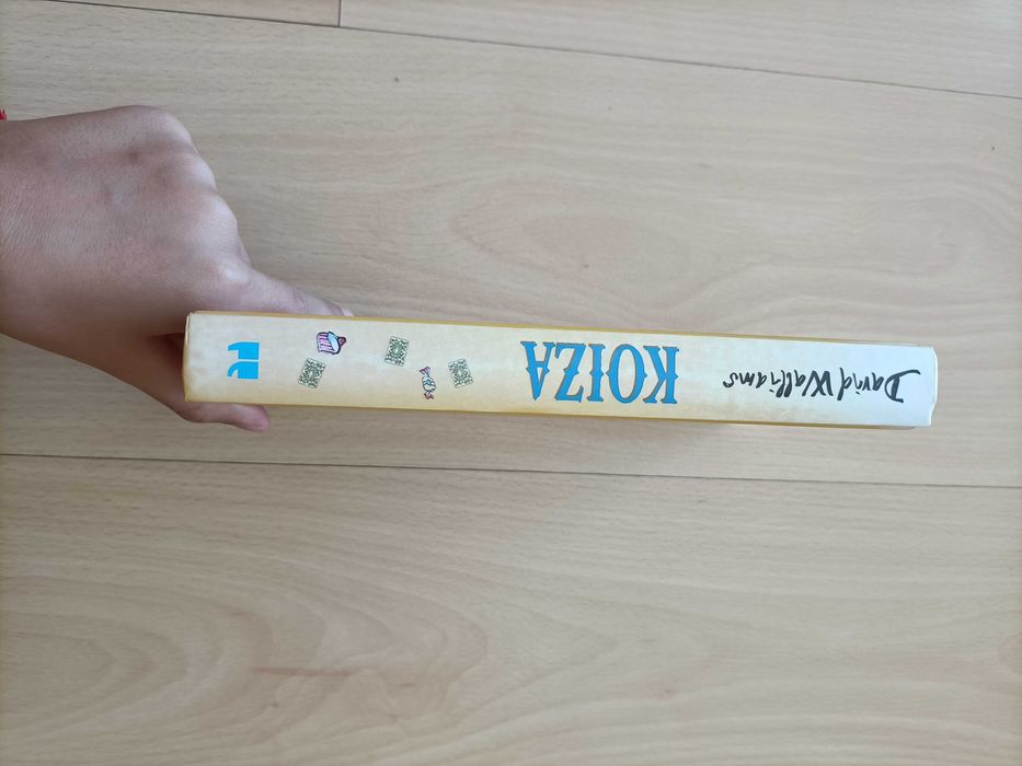 Livro "Koiza"-David Walliams