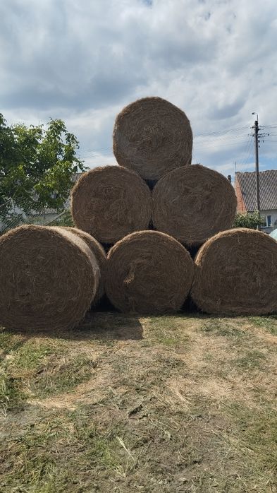 Sprzedam siano 2025