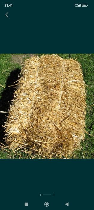 Солома з доставкою 60грн