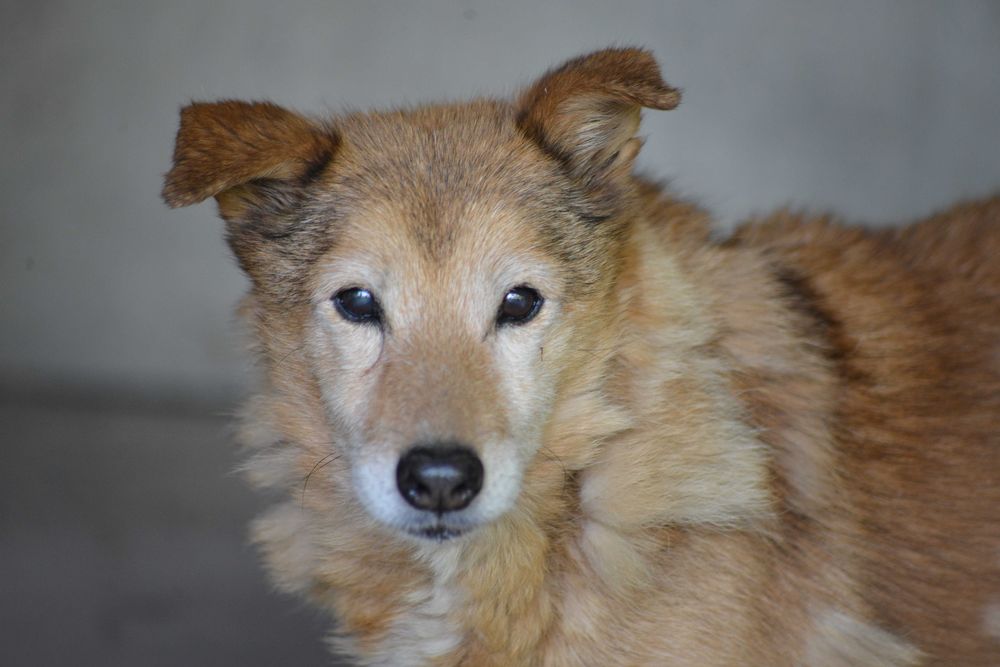 Sprinterka - szuka swojego miejsca na świecie