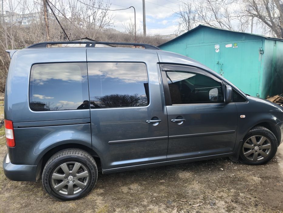 Продам каддик ухоженый