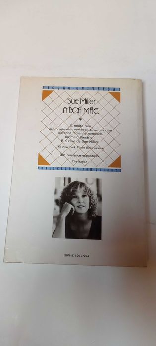 A Boa Mãe de Sue Miller
