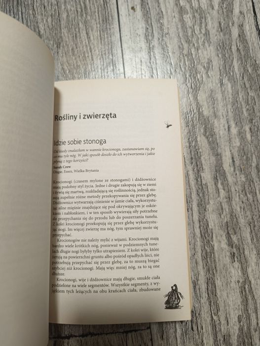 Czy jest coś co jada osy