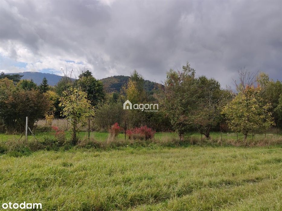 Działka 26ar, widok, spokojne otoczenie, media - Widok 2