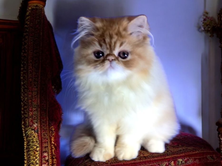 Очень нежная девочка