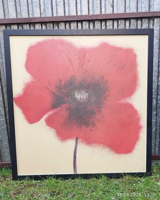 Zestaw 3 obrazy maki