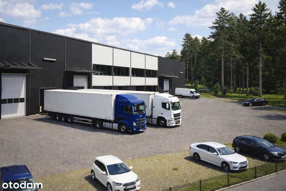 Nowa, samodzielna hala do wynajęcia sprzedaży