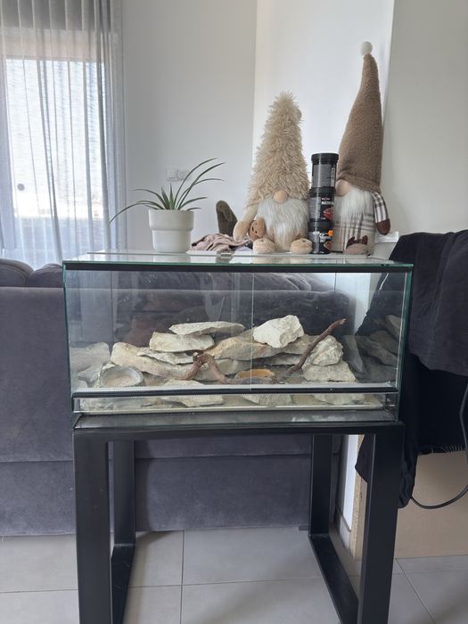Terrarium z stolikiem