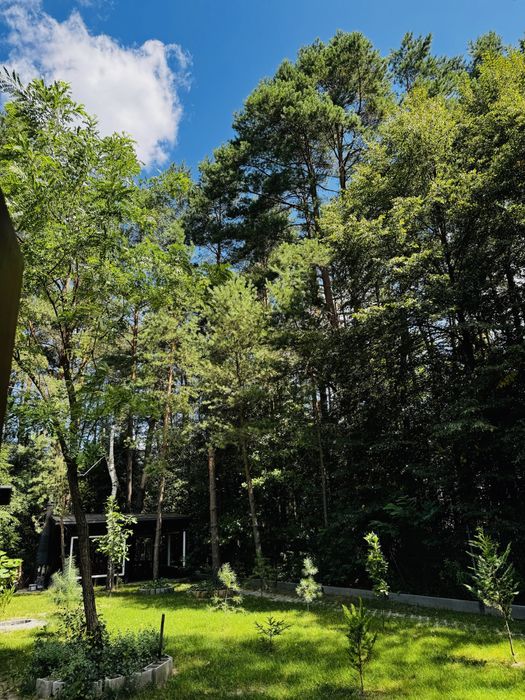 Apartamenty i domki - Modrzewiowa32 Wolny Sylwester i Świeta