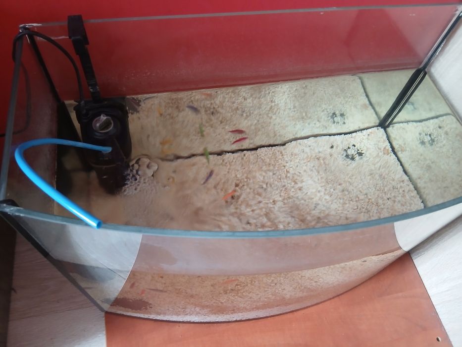Akwarium z rybkami tetra color 75L z osprzętem