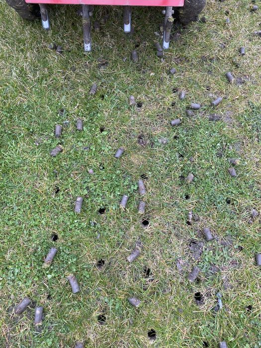 Aerator rurkowy wynajem tłokowy Weibang Camon wertykulator spalinowy