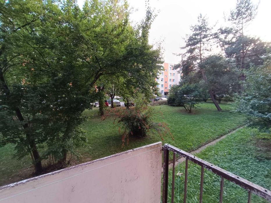 Zdjęcie 5