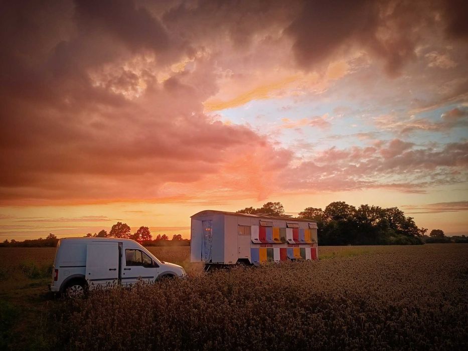 Sprzedam pasiekę - Wóz pszczelarski wraz z ulami i rodzinami