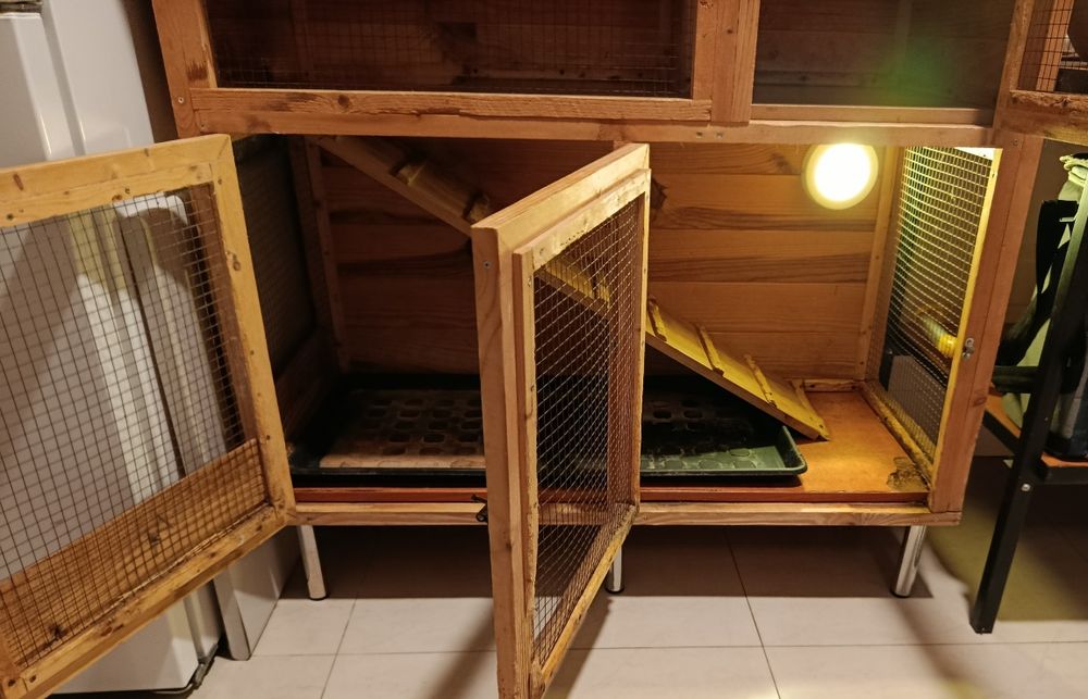 Gaiola para coelhos ou outros roedores