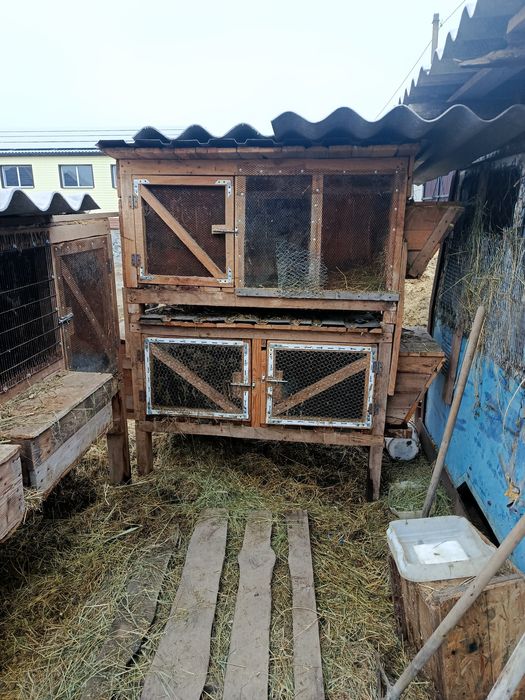 Продам клітки для кролів